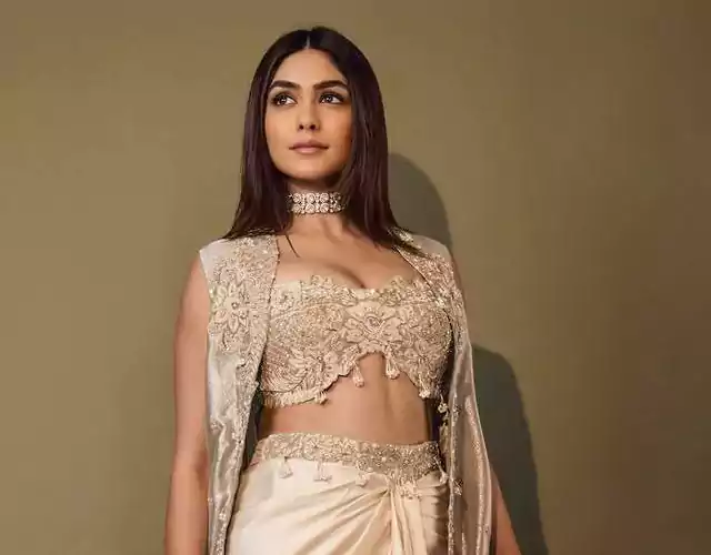 Mrunal Thakur Stunning Portrait Wins Hearts